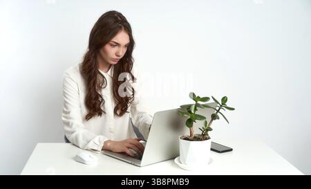 Focused businesswoman working on laptop at desk with plant decoration in minimalist office setting Stock Photo