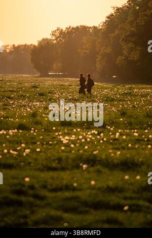 Two Women Walking in Meadow at Sunset Stock Photo