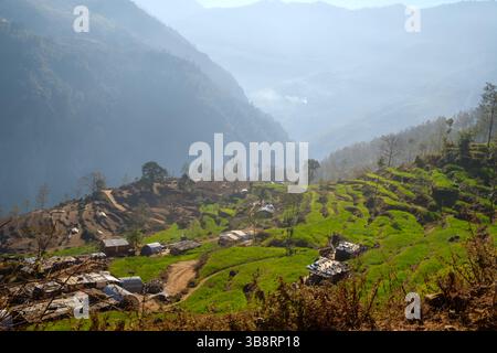 Homes dot the land in the village of El Tule, in Texiguat, Honduras ...