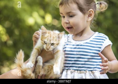 Girls play with kitten outdoor in the park Stock Photo