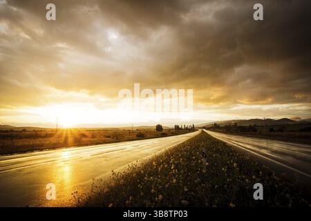 Wet road after rain and sunset over fields Stock Photo
