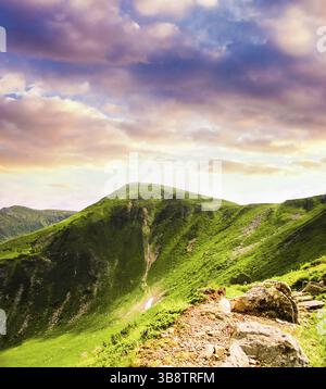 Carpathian mountains with stones and green meadows Stock Photo