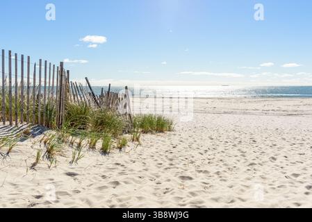Wooded fence on sand dunes covered with grass along a deserted large sandy beach on a sunny autumn morning Stock Photo