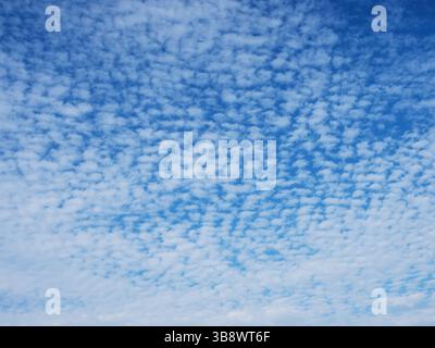 Blue sky with unusual abstract white clouds structure. Strange dramatic clouds pattern texture. Stock Photo