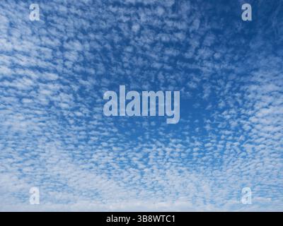 Blue sky with unusual abstract white clouds structure. Strange dramatic clouds pattern texture. Stock Photo