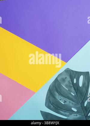 Colorful colored paper background with tropical leaf. Set design mock up. Copy space for text. Abstract pattern can use for design, wallpaper Stock Photo