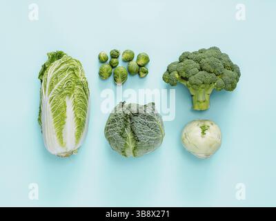 Different types of cabbage - broccoli, brussles sprout, napa cabbage, kohlrabi Stock Photo