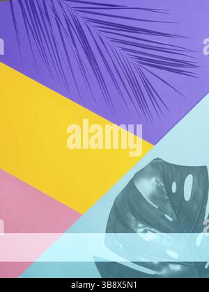 Colorful colored paper background with tropical leaf. Set design mock up. Copy space for text. Abstract pattern can use for design, wallpaper Stock Photo