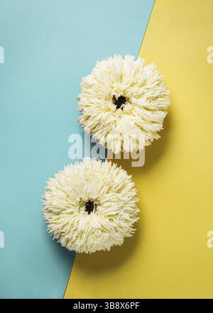 Shag donuts on two color blue and yellow background. Unusual trendy donuts with white vanilla buttercream. Copy space. Top view or flat lay. Vertical Stock Photo