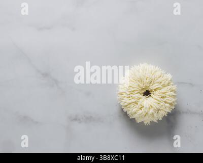 Shag donut on white marble background. Unusual trendy donut with white vanilla buttercream. Copy space. Top view or flat lay Stock Photo