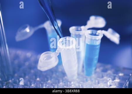 Eppendorf tubes on the rack and pipette. Close up in blue tone Stock Photo