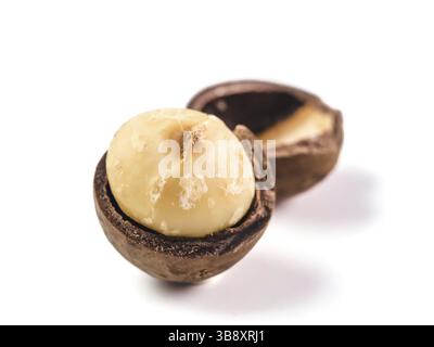 Peeled macadamia nut on white background. One macadamia nut with open shells isolated on white with clipping path. Copy space for text Stock Photo