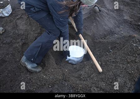 Geothermal bread making in Iceland. Stock Photo