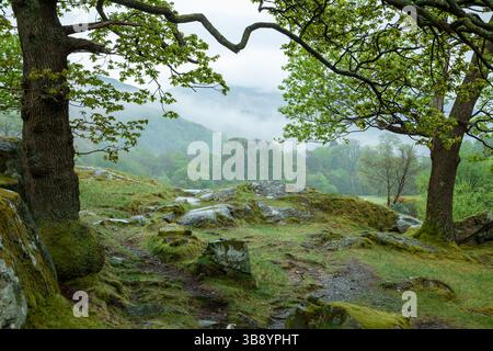 Misty morning in Ogwen Valley, Snowdonia National Park, Wales. Stock Photo