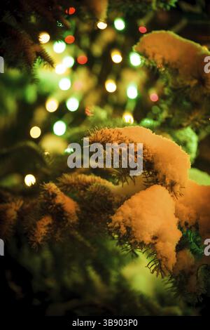 Part of christmas fir-tree under the snow outdoors with lights Stock Photo