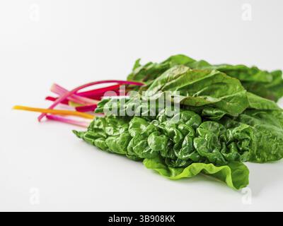 Bunch of swiss chard leafves isolated on white background. Fresh swiss rainbow chard with yellow, red and green colors, side view Stock Photo