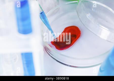 Scientist shows a diffusion in the Petri dish Stock Photo