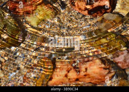Concentric wave propagation with light refracted by moving water Stock Photo