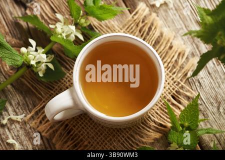 White dead-nettle blossoms and leaves with a cup of herbal tea on a table, top view Stock Photo