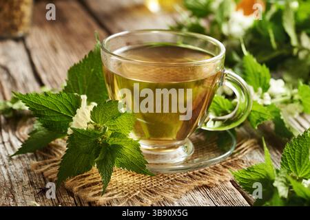 Fresh white dead-nettle blossoms and leaves with a cup of herbal tea on a wooden table Stock Photo