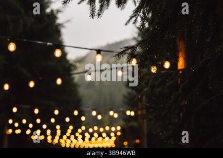 Warm string lights glow invitingly against bokeh background of a dark, evergreen forest. A moody, atmospheric scene garland lights amid a dark wood. Stock Photo