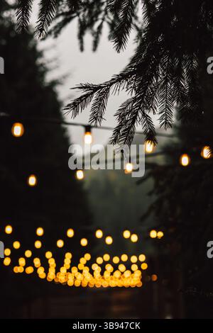 Warm string lights glow invitingly against bokeh background of a dark, evergreen forest. A moody, atmospheric scene garland lights amid a dark wood. Stock Photo