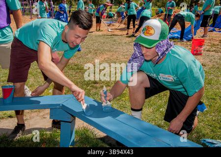 June 19, 2017: Multiracial local volunteers work together painting a wooden bench while constructing a new playground in Fountain Valley, CA. (Credit Image: © Spencer Grant/ZUMA Press Wire) Stock Photo