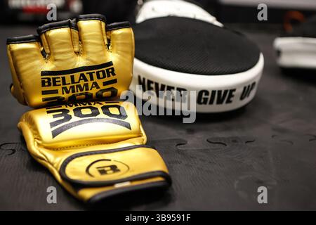 ボクシング BELLATOR MMA 300 OFFICIAL GLOVE GOLD October 7, 2023: Bellator MMA 300 special edition gold gloves on