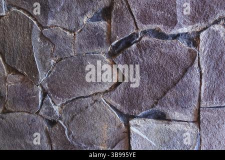 A good texture image of a wall to use as a background image, the natural texture is very unique and pleasing to the eye Stock Photo