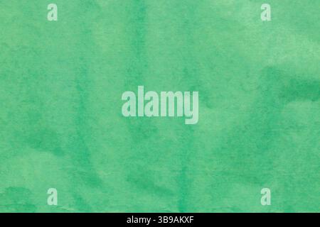 Green crepe tissue craft paper background backdrop. Craft hobby material concept. Stock Photo