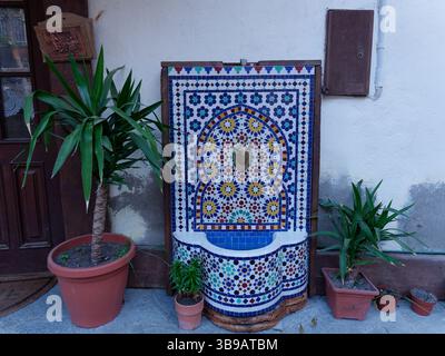 Water feature outside a home covered in Mosaic tiles surrounded by plants Stock Photo