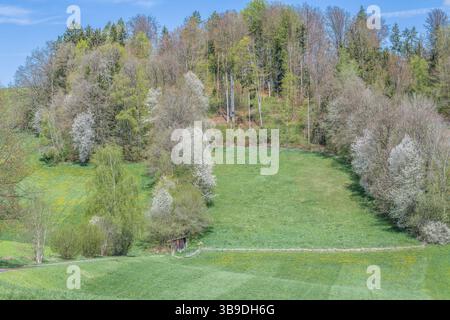Fields and meadows in the Bavarian Forest, Germany Stock Photo