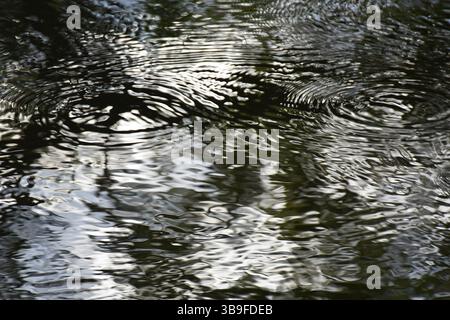 Structures on the water surface of a fast-flowing stream Stock Photo