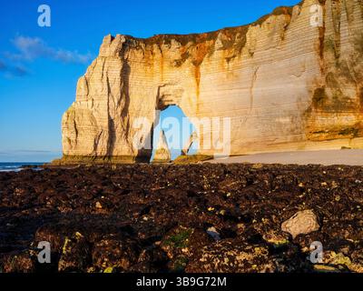 The Needle seen through the arch of the Manneporte cliff in Etretat ...