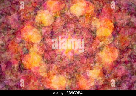 A vibrant and colorful abstract collage of autumn leaves, featuring a rich blend of red, orange, and yellow hues. Ideal for seasonal and nature-themed Stock Photo