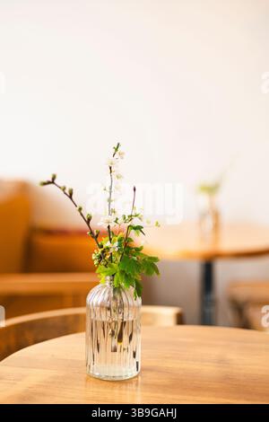 A simple and elegant floral arrangement with delicate white flowers and green leaves sits in a ribbed glass vase on a wooden table, creating a serene Stock Photo