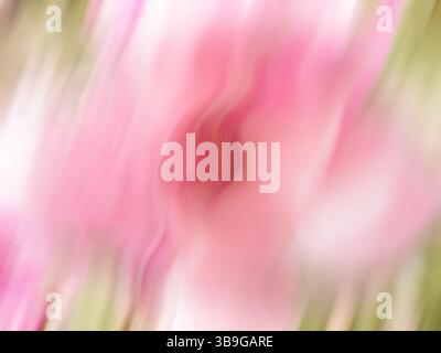 An abstract and softly blurred background featuring swirling shades of pink and green, ideal for designs that require a subtle yet colorful background Stock Photo