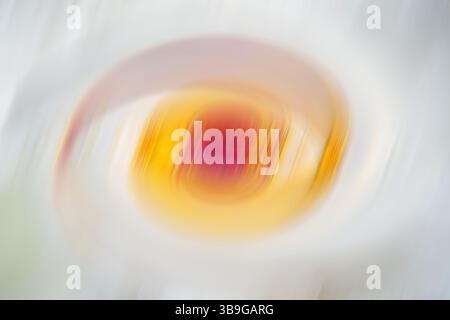 This image showcases an abstract swirl of colors with a blurred, dynamic effect, ideal for colorful background usages. Stock Photo