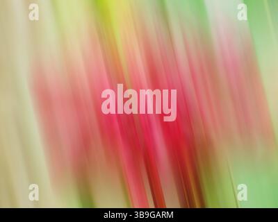 A vibrant, abstract photo featuring blurred lines of green, red, and pink hues. This image serves perfectly as a colorful background for various creat Stock Photo