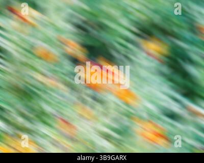 This dynamic image features a colorful, blurred background with streaks of green, orange, and yellow, ideal for adding text or using as a creative bac Stock Photo