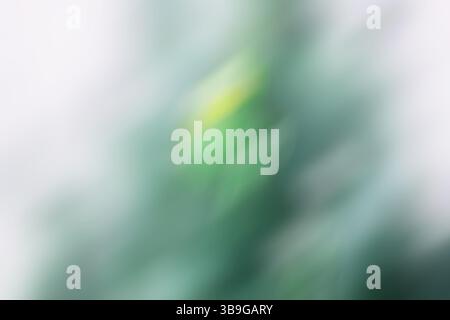 A vibrant, abstract blurred background with soft sweeps of green and yellow, ideal for adding a touch of color and texture to various creative project Stock Photo
