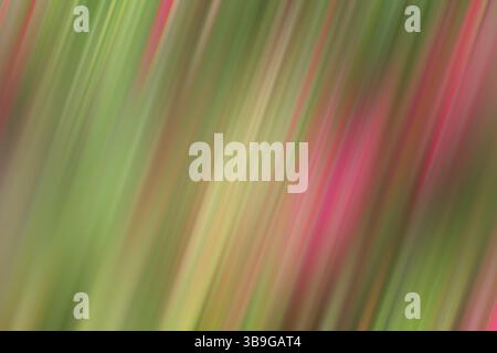 Abstract image featuring a blurred mix of vibrant red, vivid green, and bright white lines creating a dynamic colorful background. Stock Photo