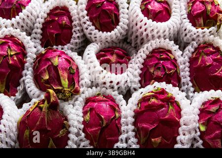 Fresh raw pink dragon fruits close up in full box top view in supermarket. Stock Photo
