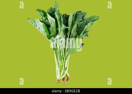 Bunch of fresh spinach leaves isolated on a vibrant green background, promoting healthy eating and natural food concepts Stock Photo