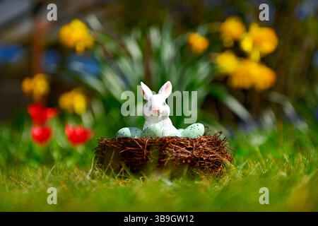 Easter bunny in the Easter nest in front of spring flowers Stock Photo