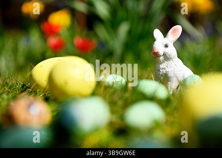 Easter bunny with Easter eggs in front of spring flowers Stock Photo