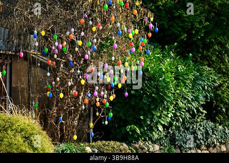 Shrub decorated with Easter eggs in Hamburg, Germany Stock Photo