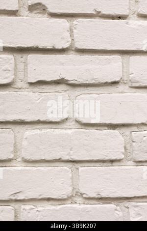 A close-up of a brick wall that has been painted white Stock Photo