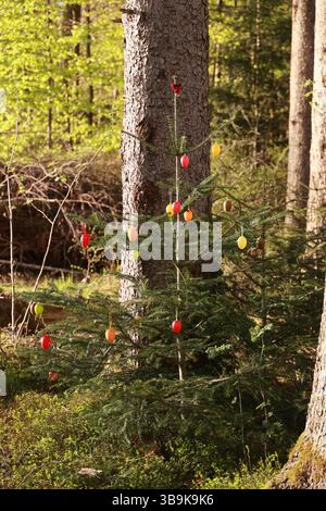 A Christmas tree with eggs on it is in a forest Stock Photo