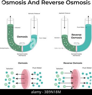 Definitive Guide to Reverse Osmosis Design Vector Illustration Stock ...